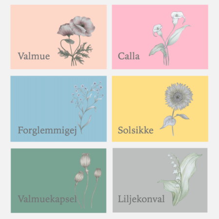 Lær at tegne blomster